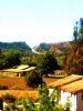 Imagen0699.jpg