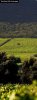 ruta-del-vino-valle-casablanca-1.jpg