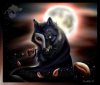 Dark-Wolf.jpg
