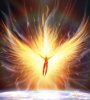 angel-de-fuego.jpg