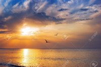 18541530-temprano-en-la-mañana-salida-del-sol-sobre-el-mar-y-las-aves-un.jpg