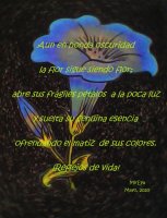 IMG_20200529_074201 - copia.jpg