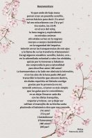 59c45f1158c36e9def98d5a30f636acc - copia.jpg