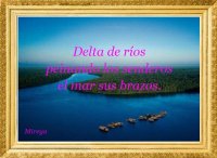 deltaorinoco.jpg