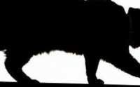 20200815_124708.png