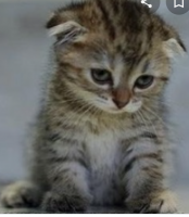 20200912_225926.png