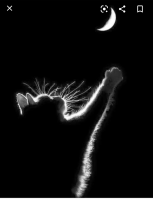 20200815_103815.png