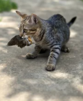 20200922_041738.png