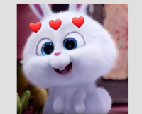20201003_031017.png