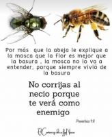 20201001_230256.png