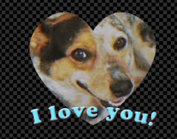20201008_031518.png