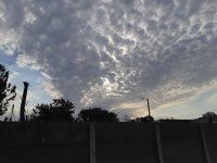 20201106_175548.jpg