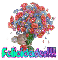 f6.gif
