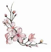 rosadas18.jpg