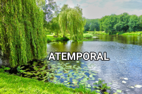 AddText_02-16-02.12.53.png