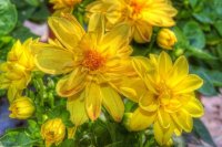 063DE943-CE38-4A5D-AD55-D30B7D3B297D.jpeg
