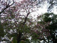 PAISAJE 2.jpg