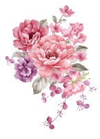 rosadas45.png