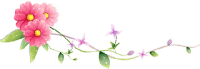 rosadas3.gif