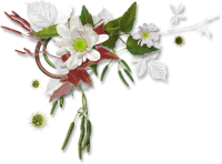 blanca9.png