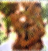 PAREJA ARBOL.jpg