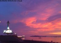 IMG_4002.jpg