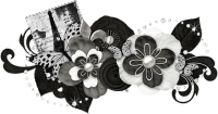 Negras(1).png