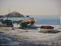 BARCAS.JPG