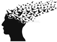pájaros-que-vuelan-la-cabeza-humana-128915033.jpg