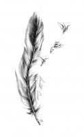 PLUMA1.jpg