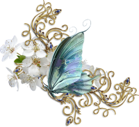 mariposa6.png