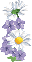 morada7.png