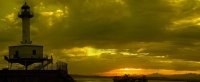 IMG_2966.jpeg