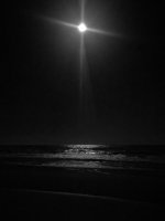 IMG_5715.jpeg