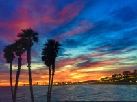 IMG_3818.jpeg