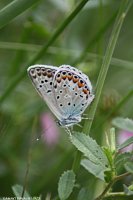 IMG_3665.jpg