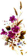 Rojo9.gif