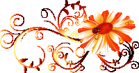 naranja12.gif