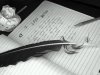 escribir.jpg
