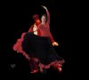 flamenco_thumb[1].jpg