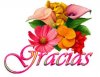 349 rosas gracias.jpg