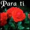 parati.jpg