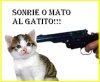 Sonrie_o_mato_al_gatito.jpg