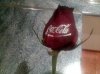 flor_04.jpg
