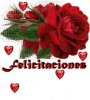 1428467felicitaciones1.jpg