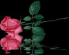 corazonesmimosones126fl.jpg