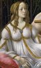 Venus+%u00252526+Mars+Detail+3.jpg