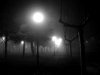 La_noche_en_el_parque.jpg