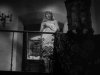 0000000barb stanwyck.jpg