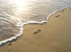 huellas-hombre-playa-mañana-31000.jpg
